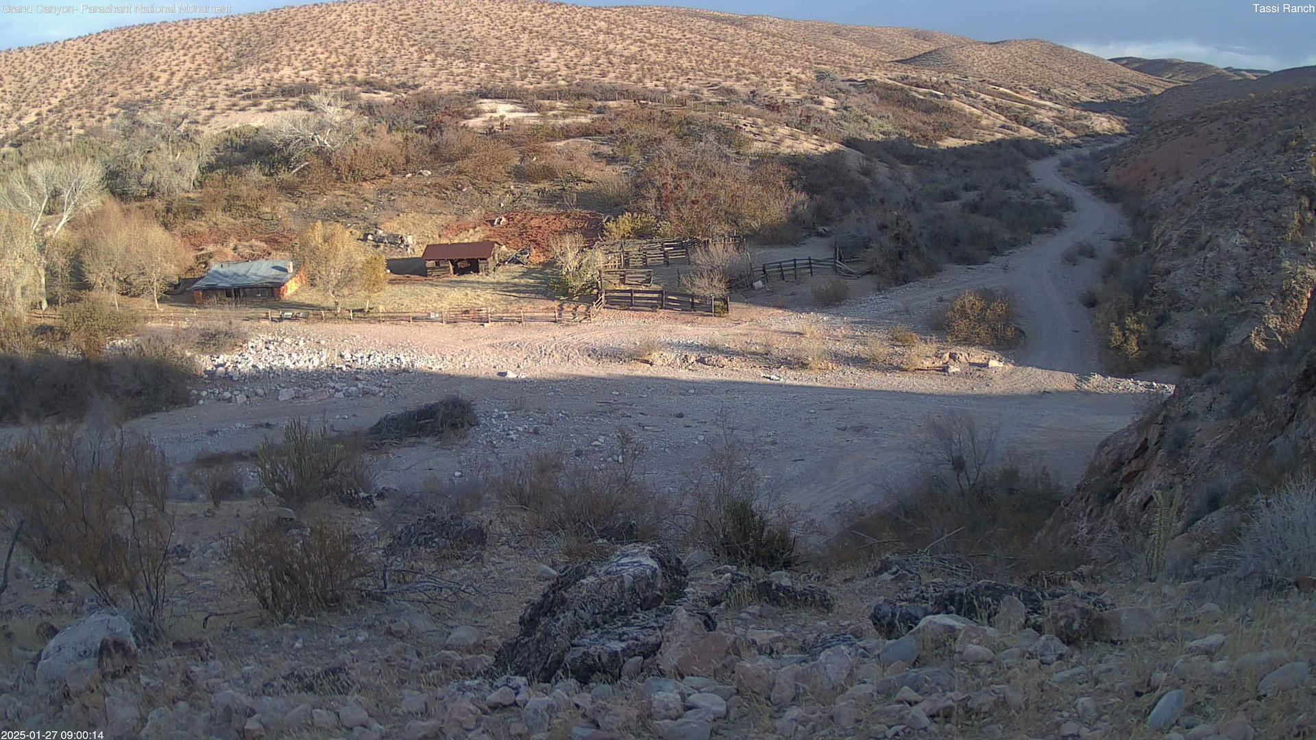 time-lapse frame, Tassi Ranch webcam