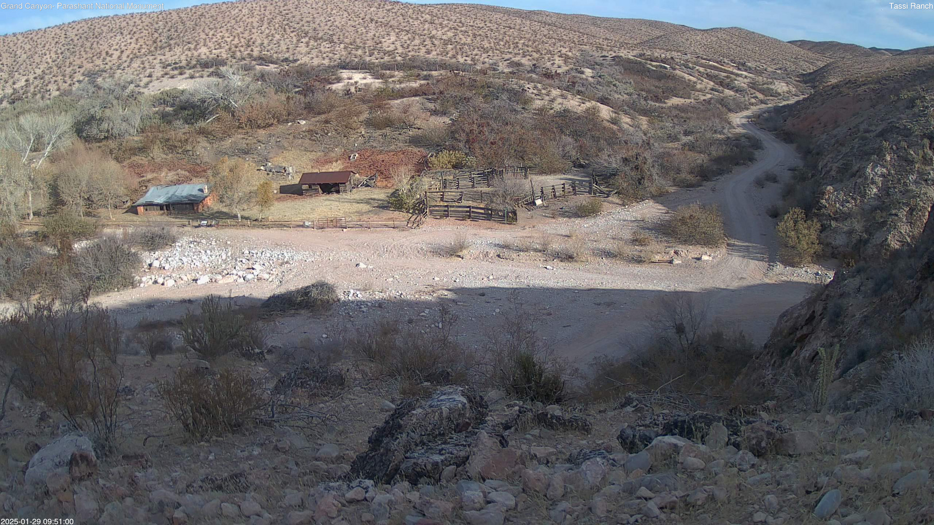 time-lapse frame, Tassi Ranch webcam