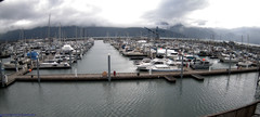 view from Seward Harbor on 2022-06-13