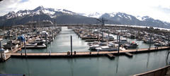view from Seward Harbor on 2022-06-21