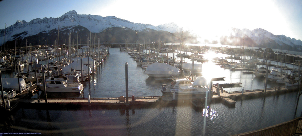 time-lapse frame, Seward Harbor webcam