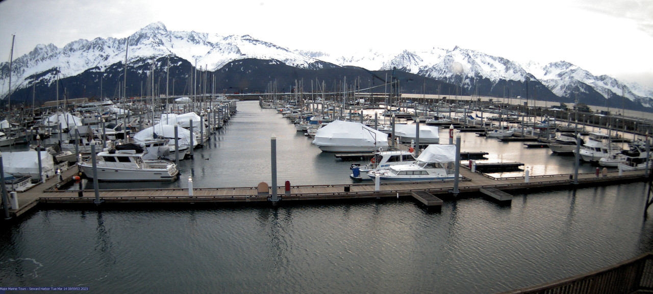 time-lapse frame, Seward Harbor webcam