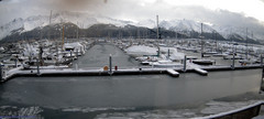 view from Seward Harbor on 2024-02-08
