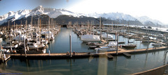 view from Seward Harbor on 2024-02-16
