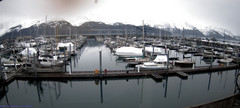 view from Seward Harbor on 2024-02-18