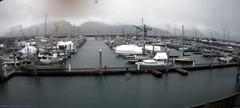 view from Seward Harbor on 2024-02-19