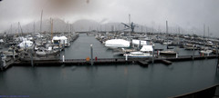 view from Seward Harbor on 2024-02-20