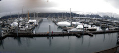 view from Seward Harbor on 2024-03-22