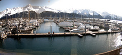 view from Seward Harbor on 2024-04-07