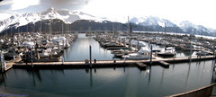 view from Seward Harbor on 2024-04-19