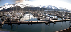 view from Seward Harbor on 2024-04-24