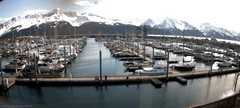 view from Seward Harbor on 2024-04-27