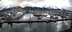 view from Seward Harbor on 2024-05-07