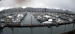 view from Seward Harbor on 2024-05-11