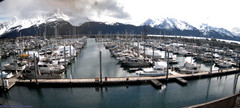 view from Seward Harbor on 2024-05-12