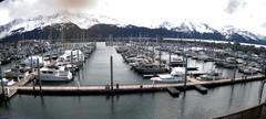 view from Seward Harbor on 2024-05-13