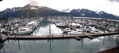 view from Seward Harbor on 2024-07-21
