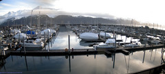 view from Seward Harbor on 2025-01-23