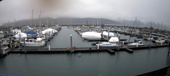 view from Seward Harbor on 2025-01-25