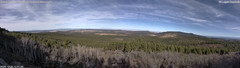 view from Mt Logan on 2024-12-23