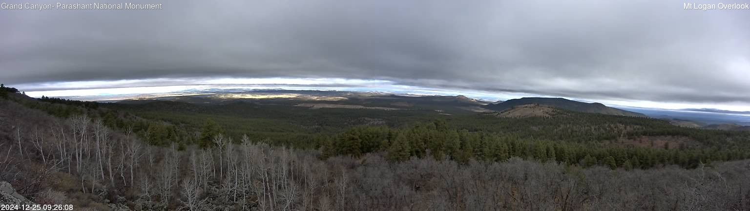 time-lapse frame, Mt Logan webcam