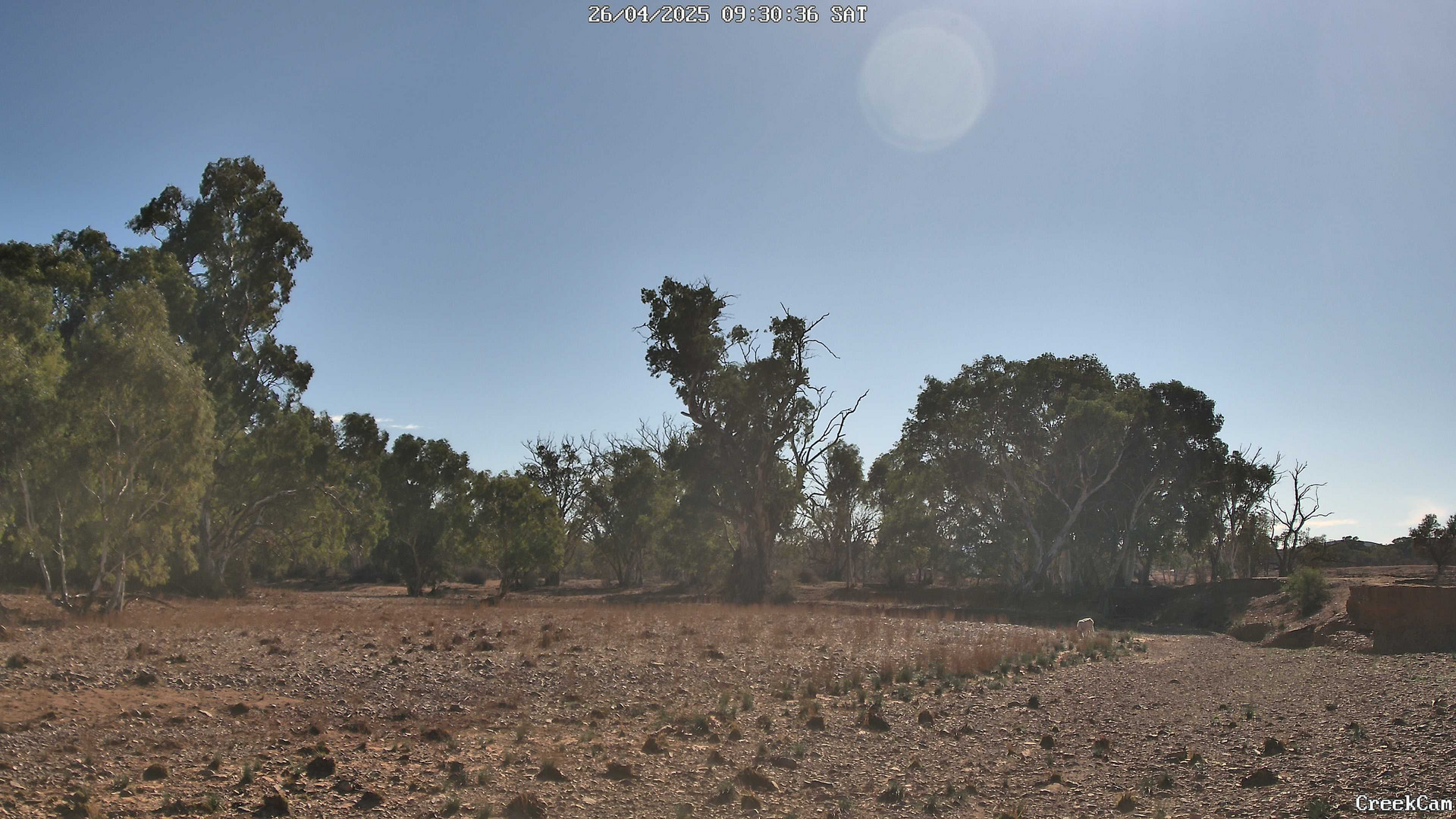 time-lapse frame, CreekCam webcam