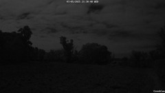 view from CreekCam on 2025-05-07