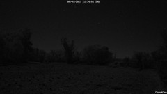 view from CreekCam on 2025-05-08