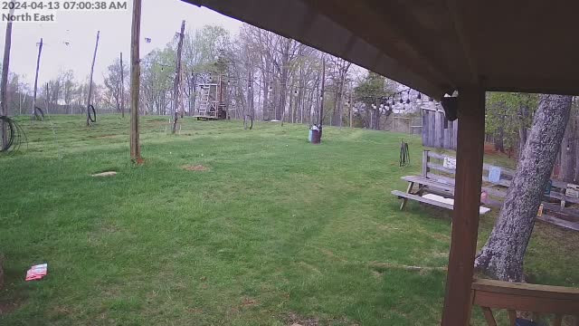 time-lapse frame, Hopyard North East webcam