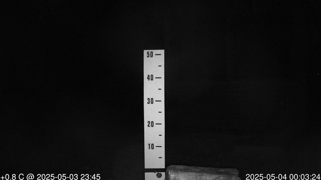 time-lapse frame, snowstump webcam
